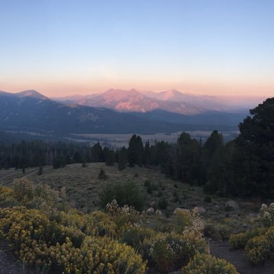 SpencerinIdaho's profile picture. Lives in Idaho; former Independent candidate