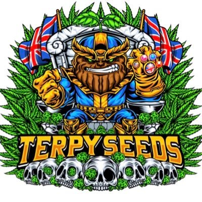 TerpySeedsUK's profile picture. UK🇬🇧seedbank backed by 🇺🇸flagship store.
No customs, fast delivery across UK, EU and international, best genetics, always stocked & best customer service!