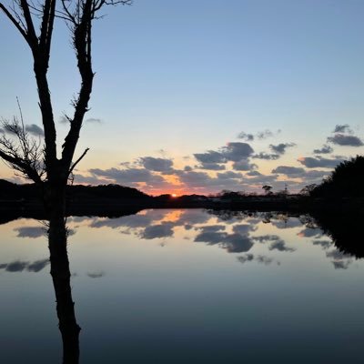 tatusakana's profile picture. 