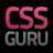 cssgurunews's profile image