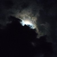 ShadowGhost89 (@shad_ghost05) 's Twitter Profile