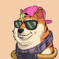 Lux (@lux_is_ngmi) 's Twitter Profile