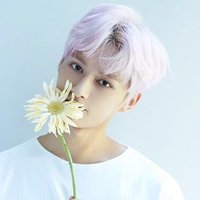 mari (@sebuchic) 's Twitter Profile