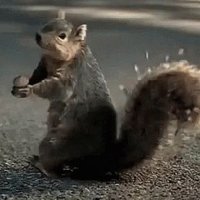 Rackley WAR Squirrel 🐿️(@WARSquirrel_25) 's Twitter Profile Photo