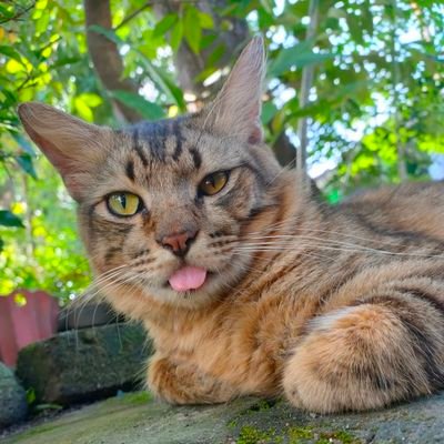 _dulsky's profile picture. 