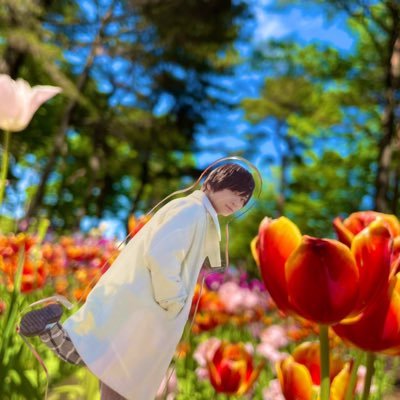 りんりんさんのプロフィール画像