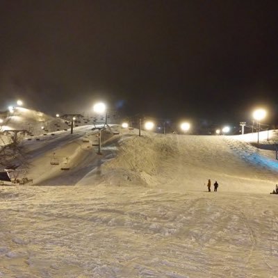 sugimuratdsh's profile picture. 笑論法11期 純情マイム、素麺、バタバッタコオロギー