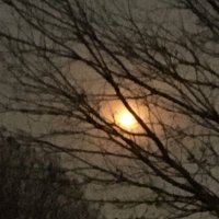 Dark Cloud (@darkcloud77777) 's Twitter Profile