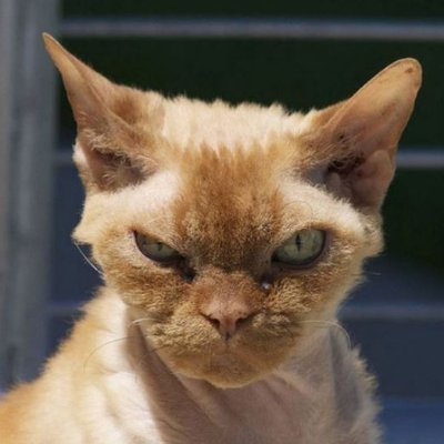 KaspariPetra's profile picture. Committed only to truth and reason
Never believe always check
#STOP WHO 
#STOP EU
#STOP NATO
#STOP Collectivism
#STOP CO2 terror
#STOP New Normal