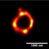 Inflammedlab (@inflammedlab) 's Twitter Profile Photo