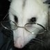 Ms. Opossum graphs COVID data. (@anarchodelphis) Twitter profile photo