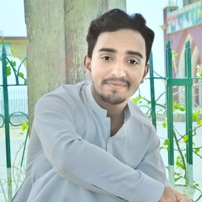 HameerRajput4's profile picture. Science student and nature lover