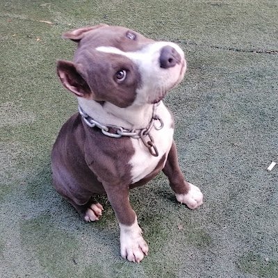 jlcgcomputers's profile picture. trabajador,catolico,familiar y de politica Derecha