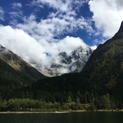 PeterMoriarty17's profile picture. 