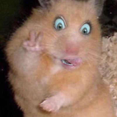 If you don’t know who I am by now come find out 🐭🐭🐭🐭