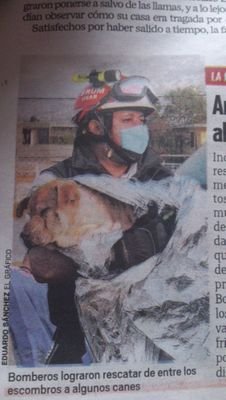 EIngugami's profile picture. Hola soy ingu