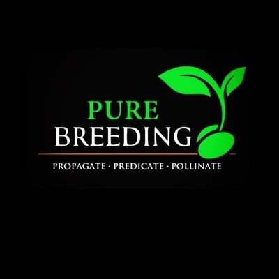 We Are A Craft Cannabis Clone And Seed Company, Specializing In Feminized Breeding.

A Genetic Consulting Company For Commercial And Industrial Facilities.