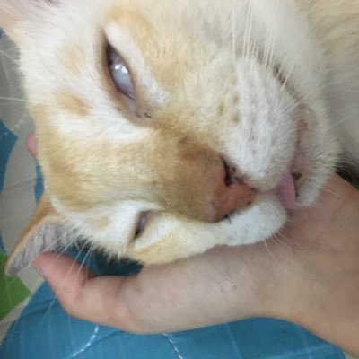 bluecarrot42's profile picture. 🤕, on meds