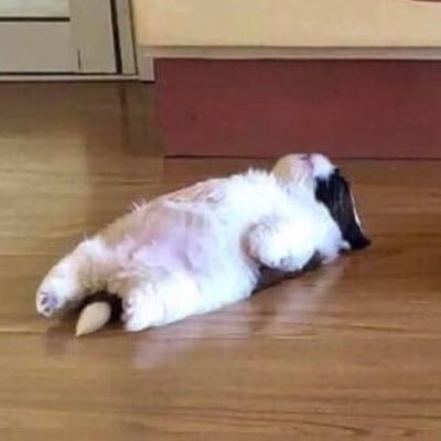 ch4i_luvr's profile picture. recoverytwt | edtwt dni! | i’m ready to start living again :)