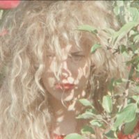 TARAKA (@taraka_official) 's Twitter Profile