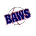 Bay Area World Series (BAWS) (@BayAreaWS) Twitter profile photo