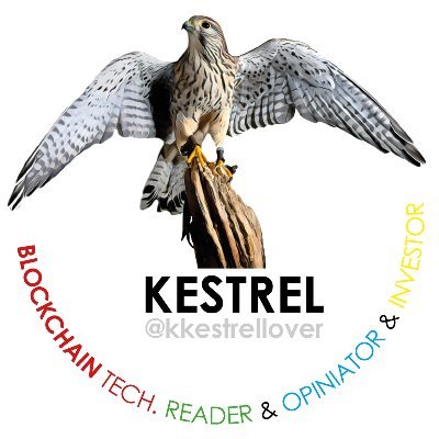 Blockchain Tech. Reader & Opiniator & only Bitcoin + CGPT Investor // Kestrel Lover