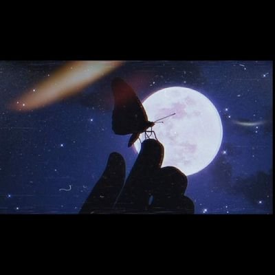 BerfinSezer10's profile picture. Yabancı Müzik   ❤❤