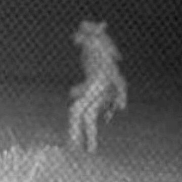 erisfloralia_'s profile picture. vl