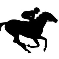 Horse racing fan(@horseracinggd) 's Twitter Profileg