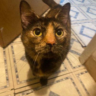 macg030's profile picture. What makes me special? Literally nothing.