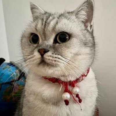 Ncy8LetmiDP8mlr's profile picture. 