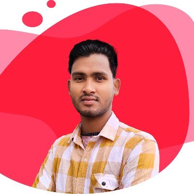 professional Web Developer and WordPress specialist