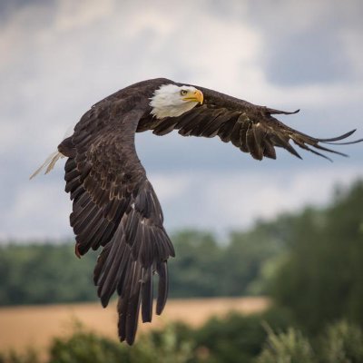 bdd7773's profile picture.