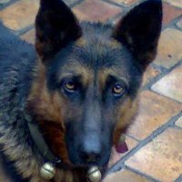 jimjusk(🦄,🦄) (@jimjusk) 's Twitter Profile