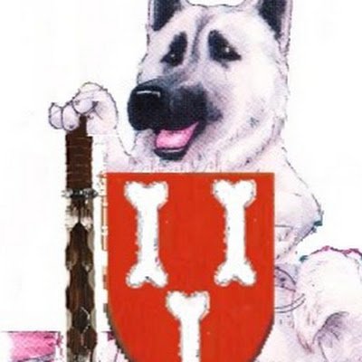 ready_k9's profile picture. 