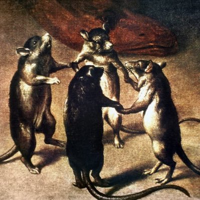 xvdq230's profile picture. 