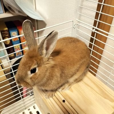 Xji6k6osRojrl4t's profile picture. 