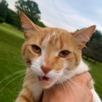 Puss Puss (@pusspusccc) 's Twitter Profile