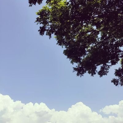 ST1KaMV5wq95UR0's profile picture. 元不登校の大学1年生です。不登校支援に興味あります。同じ境遇の方や不登校の子供をもつ親御さんなど気軽なくDMしてください。心理学などについて、ツイートします。