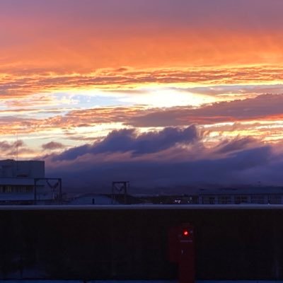 mesyuri's profile picture. 欲と理の狭間。