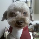 Scarlet Edwards - @scarletedwards - Twitter