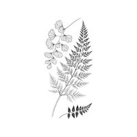 ferns (@fernsnpetals) 's Twitter Profile