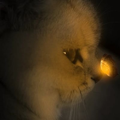 931015lds's profile picture. 