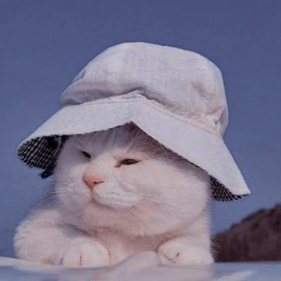 Klowiicoms's profile picture. PM for details