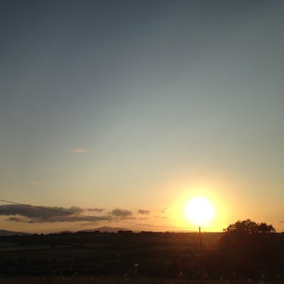 rayergreene's profile picture. 