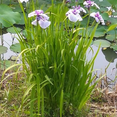 s74481495's profile picture. 