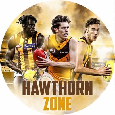 All the latest #HFC news, stats, results, opinions & plenty more. IG: @HawthornZone 🤎💛 #Alwayshawthorn