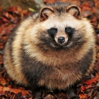 自分をSEだと思い込んでいる精神異常者です
炎上案件に投げ込まれるドキュメント整備士の妄想を僻地からお届けしています