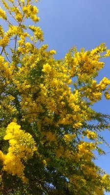 rxM4xjwQtg8Pn68's profile picture. 多くの人にLGBT思想の問題を知ってほしい。活動家に連帯しない性的マイノリティ当事者や女性、子供の人権が脅かされようとしています■包括的性教育(性の多様性、人権教育)やUNESCOガイダンスはダメ。子どもの健やかな発育を脅かす■埼玉県の県立高校の共学化反対を応援（埼玉県民ではないけど）