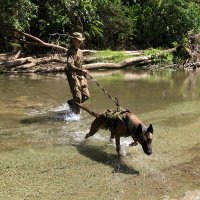 AnimalsSavingAnimals (@daryllpleasants) 's Twitter Profile